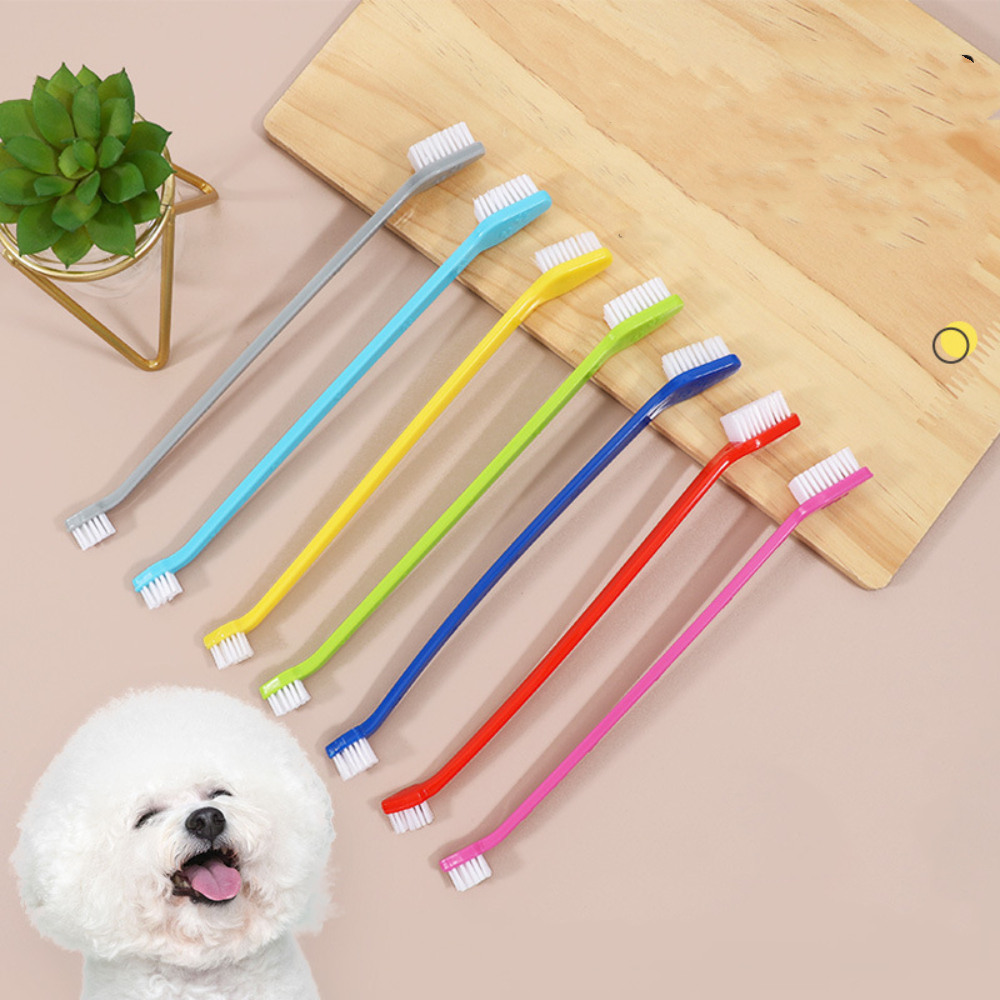 Double-headed Dog Toothbrush P - Group Head Brush reseña y precio
