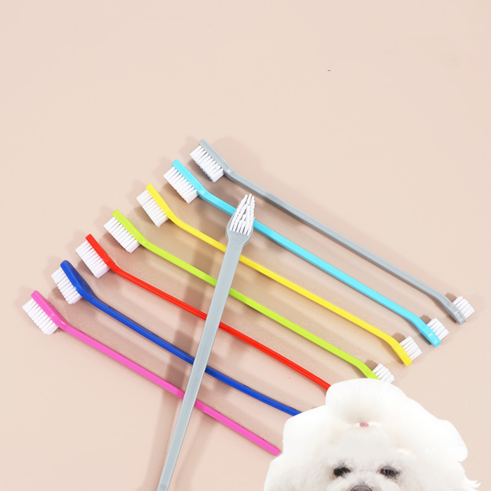 Double-headed Dog Toothbrush P - Group Head Brush reseña y precio