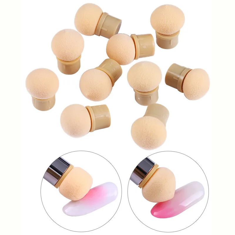 Round Sharp Head Sponge Heads  - Group Head Brush reseña y precio